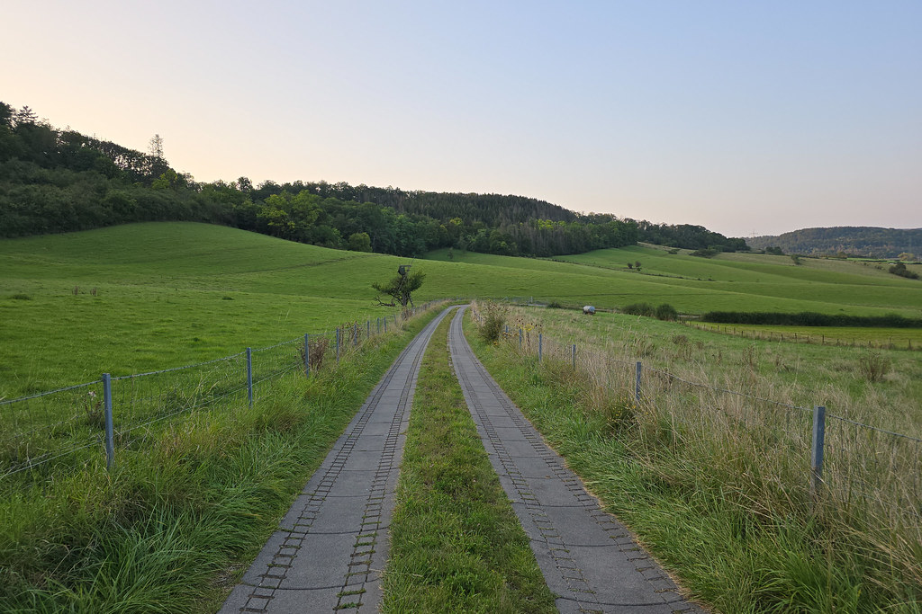 A green field with a farm track and a dead-straight fence line running to the horizon.